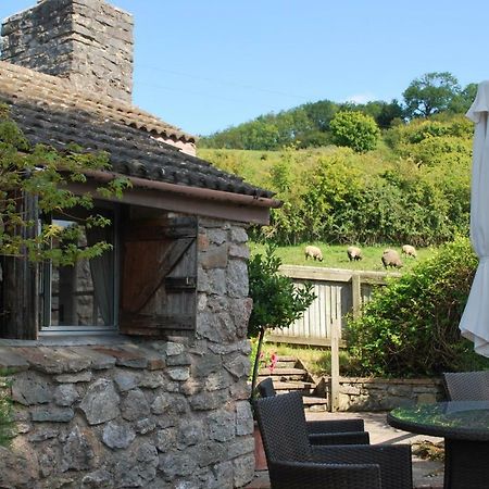 Fenny Castle Vineyard Cottage Wookey Luaran gambar