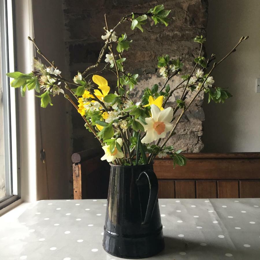 Fenny Castle Vineyard Cottage Wookey Luaran gambar