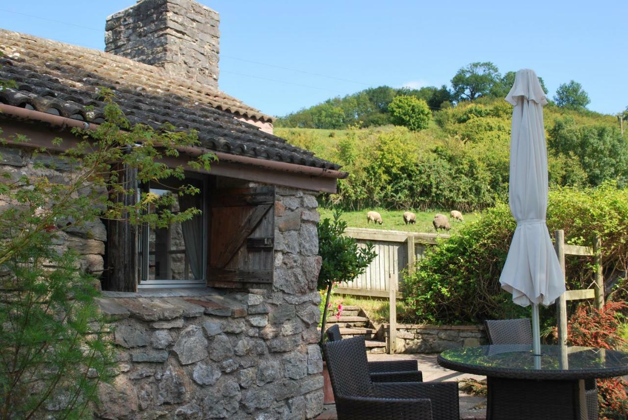 Fenny Castle Vineyard Cottage Wookey Luaran gambar