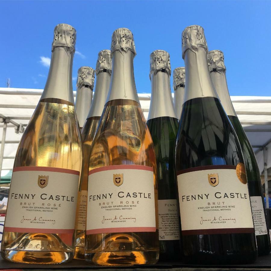 Fenny Castle Vineyard Cottage Wookey Luaran gambar