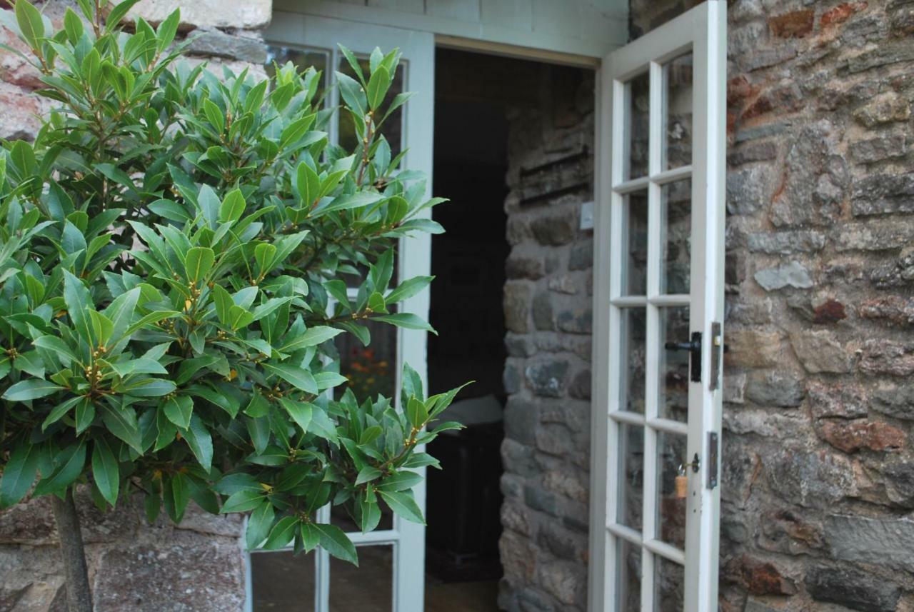 Fenny Castle Vineyard Cottage Wookey Luaran gambar