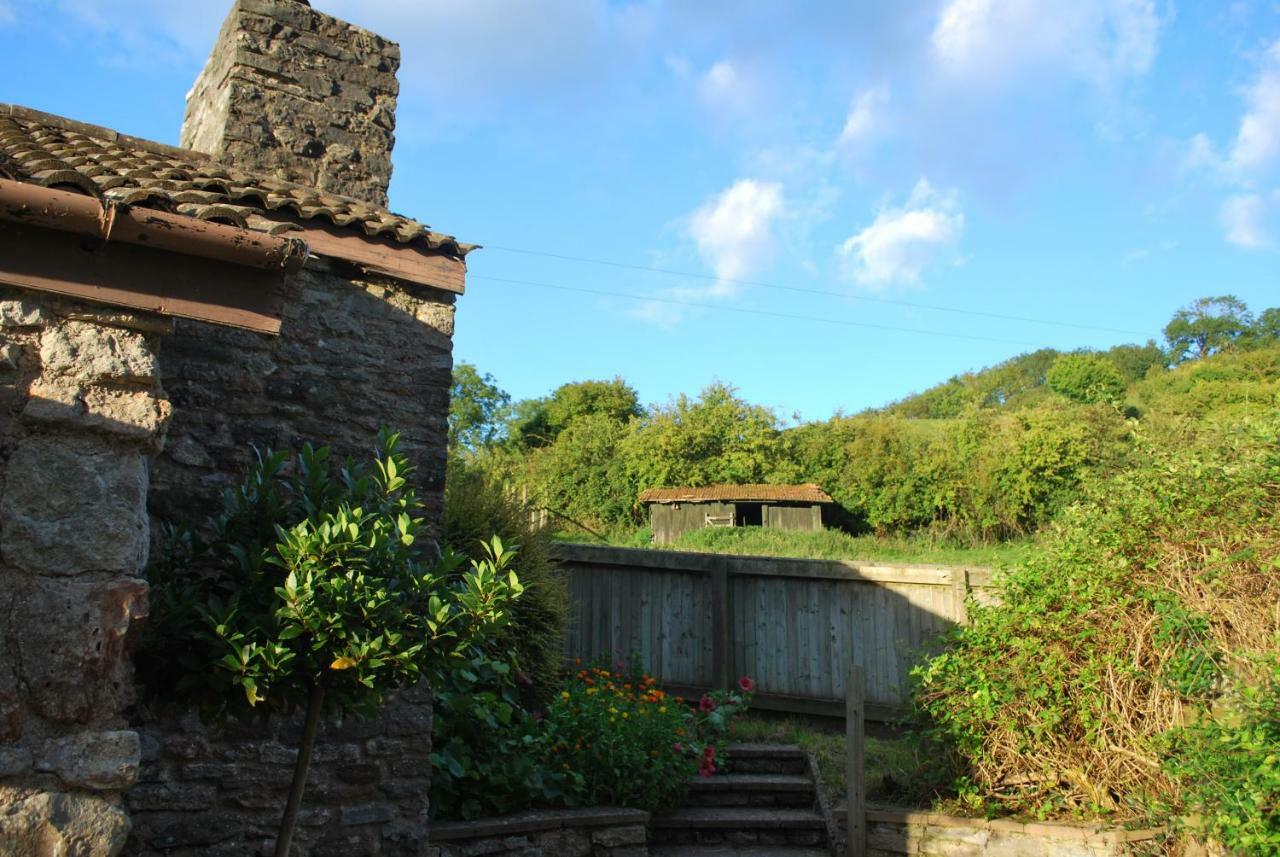 Fenny Castle Vineyard Cottage Wookey Luaran gambar