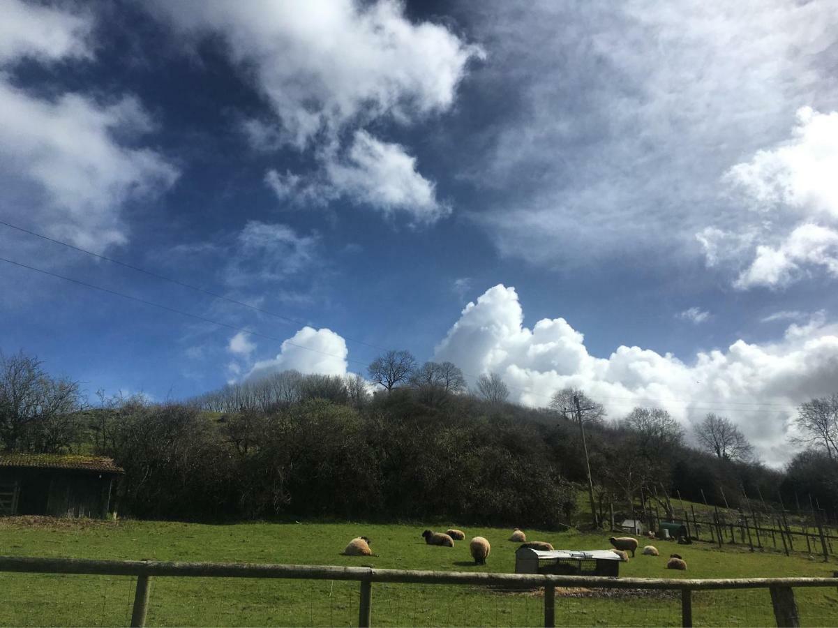 Fenny Castle Vineyard Cottage Wookey Luaran gambar