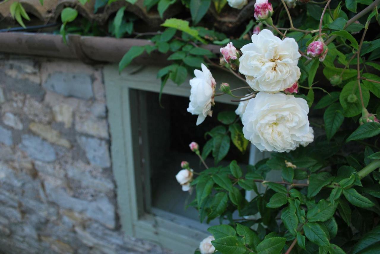 Fenny Castle Vineyard Cottage Wookey Luaran gambar