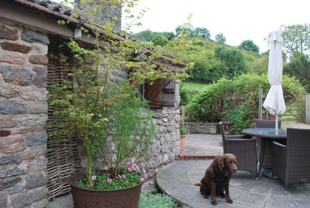 Fenny Castle Vineyard Cottage Wookey Luaran gambar